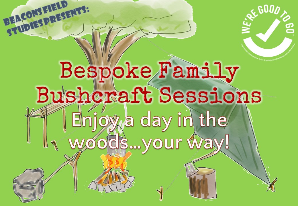 Bushcraft Sessions this Summer | Field Studies in the Brecon Beacons